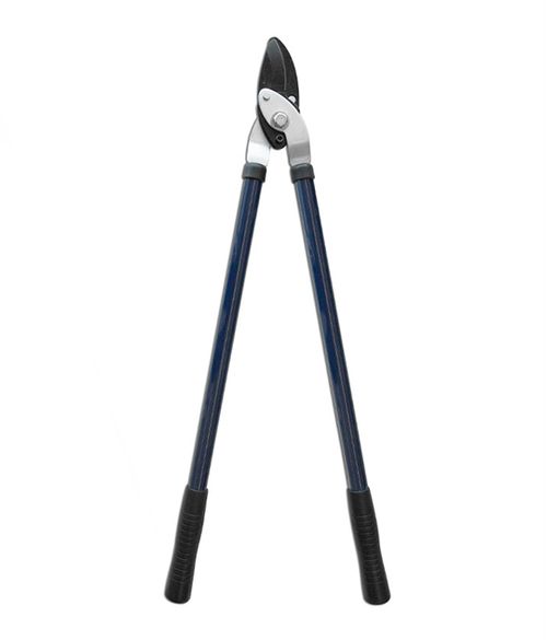 Tijera para Podar